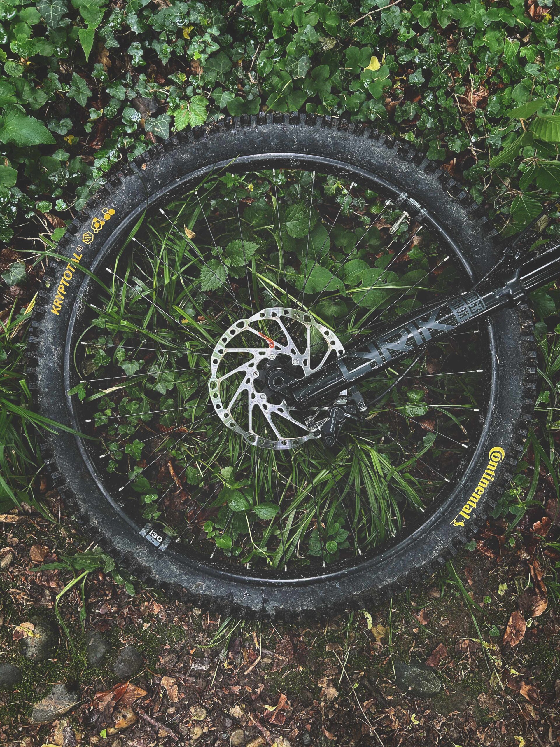 Mountainbike Laufrad auf Waldboden