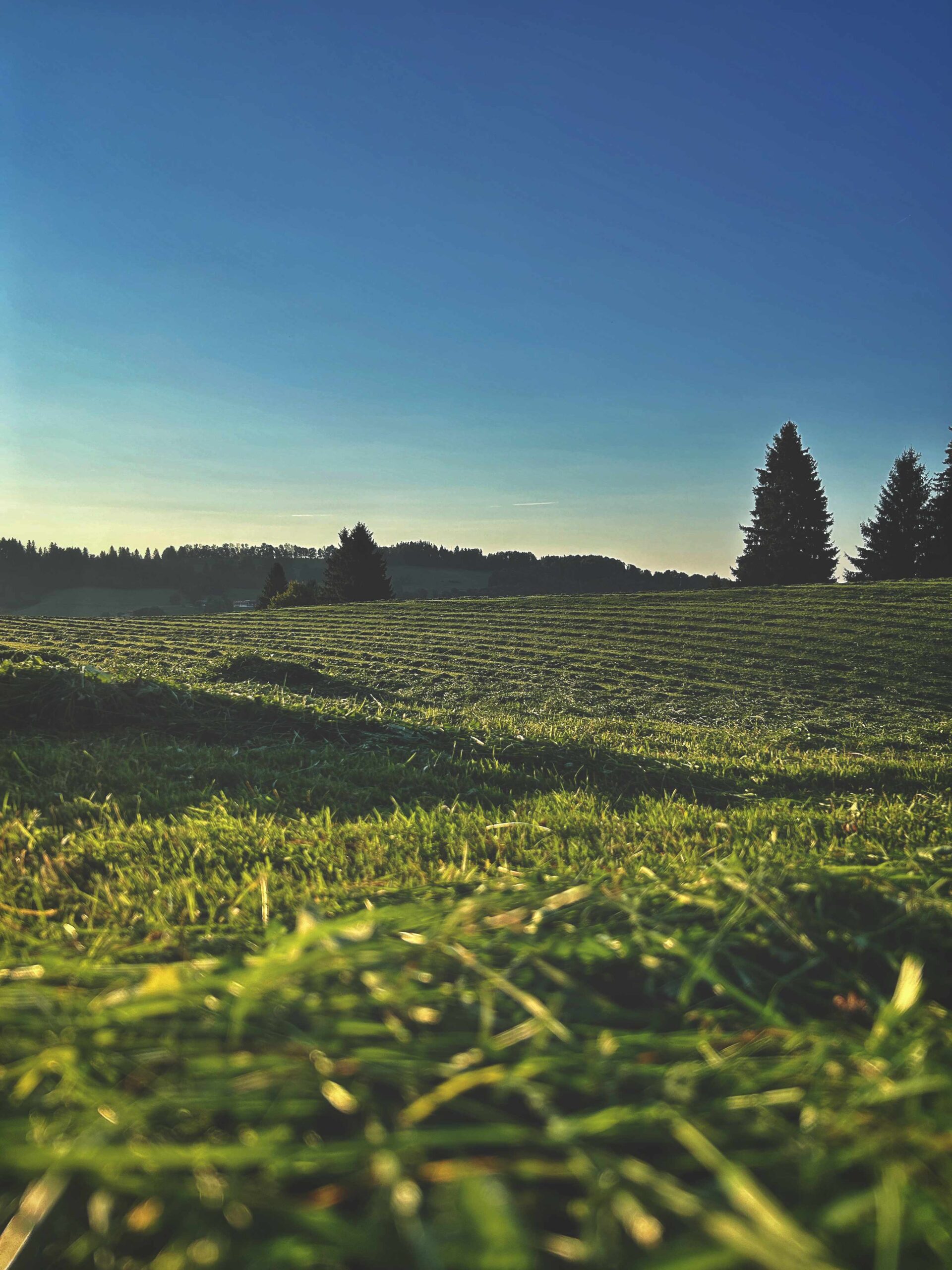 Sonnenuntergang am Berg